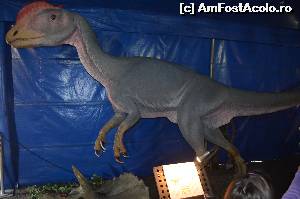[P02] Dinozaur ierbivor » foto by cristianam
 - 
<span class="allrVoted glyphicon glyphicon-heart hidden" id="av528286"></span>
<a class="m-l-10 hidden" id="sv528286" onclick="voting_Foto_DelVot(,528286,14175)" role="button">șterge vot <span class="glyphicon glyphicon-remove"></span></a>
<a id="v9528286" class=" c-red"  onclick="voting_Foto_SetVot(528286)" role="button"><span class="glyphicon glyphicon-heart-empty"></span> <b>LIKE</b> = Votează poza</a> <img class="hidden"  id="f528286W9" src="/imagini/loader.gif" border="0" /><span class="AjErrMes hidden" id="e528286ErM"></span>