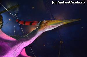 [P21] Stramosii pasarilor foto 2 » foto by cristianam
 - 
<span class="allrVoted glyphicon glyphicon-heart hidden" id="av528317"></span>
<a class="m-l-10 hidden" id="sv528317" onclick="voting_Foto_DelVot(,528317,14175)" role="button">șterge vot <span class="glyphicon glyphicon-remove"></span></a>
<a id="v9528317" class=" c-red"  onclick="voting_Foto_SetVot(528317)" role="button"><span class="glyphicon glyphicon-heart-empty"></span> <b>LIKE</b> = Votează poza</a> <img class="hidden"  id="f528317W9" src="/imagini/loader.gif" border="0" /><span class="AjErrMes hidden" id="e528317ErM"></span>