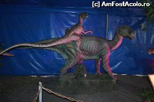 [P03] Dovada ca indiferent de specie atasamentul fata de mama este acelasi » foto by cristianam
 - 
<span class="allrVoted glyphicon glyphicon-heart hidden" id="av528288"></span>
<a class="m-l-10 hidden" id="sv528288" onclick="voting_Foto_DelVot(,528288,14175)" role="button">șterge vot <span class="glyphicon glyphicon-remove"></span></a>
<a id="v9528288" class=" c-red"  onclick="voting_Foto_SetVot(528288)" role="button"><span class="glyphicon glyphicon-heart-empty"></span> <b>LIKE</b> = Votează poza</a> <img class="hidden"  id="f528288W9" src="/imagini/loader.gif" border="0" /><span class="AjErrMes hidden" id="e528288ErM"></span>