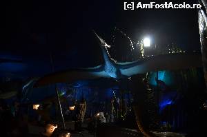 [P05] Ca sa simtiti emotia...  » foto by cristianam
 - 
<span class="allrVoted glyphicon glyphicon-heart hidden" id="av528290"></span>
<a class="m-l-10 hidden" id="sv528290" onclick="voting_Foto_DelVot(,528290,14175)" role="button">șterge vot <span class="glyphicon glyphicon-remove"></span></a>
<a id="v9528290" class=" c-red"  onclick="voting_Foto_SetVot(528290)" role="button"><span class="glyphicon glyphicon-heart-empty"></span> <b>LIKE</b> = Votează poza</a> <img class="hidden"  id="f528290W9" src="/imagini/loader.gif" border="0" /><span class="AjErrMes hidden" id="e528290ErM"></span>