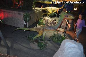 [P06] Discutie intre specii...  :)  » foto by cristianam
 - 
<span class="allrVoted glyphicon glyphicon-heart hidden" id="av528291"></span>
<a class="m-l-10 hidden" id="sv528291" onclick="voting_Foto_DelVot(,528291,14175)" role="button">șterge vot <span class="glyphicon glyphicon-remove"></span></a>
<a id="v9528291" class=" c-red"  onclick="voting_Foto_SetVot(528291)" role="button"><span class="glyphicon glyphicon-heart-empty"></span> <b>LIKE</b> = Votează poza</a> <img class="hidden"  id="f528291W9" src="/imagini/loader.gif" border="0" /><span class="AjErrMes hidden" id="e528291ErM"></span>