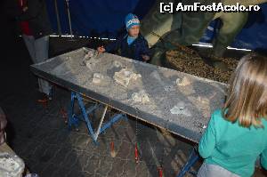 [P07] Arheologii de maine...  » foto by cristianam
 - 
<span class="allrVoted glyphicon glyphicon-heart hidden" id="av528292"></span>
<a class="m-l-10 hidden" id="sv528292" onclick="voting_Foto_DelVot(,528292,14175)" role="button">șterge vot <span class="glyphicon glyphicon-remove"></span></a>
<a id="v9528292" class=" c-red"  onclick="voting_Foto_SetVot(528292)" role="button"><span class="glyphicon glyphicon-heart-empty"></span> <b>LIKE</b> = Votează poza</a> <img class="hidden"  id="f528292W9" src="/imagini/loader.gif" border="0" /><span class="AjErrMes hidden" id="e528292ErM"></span>