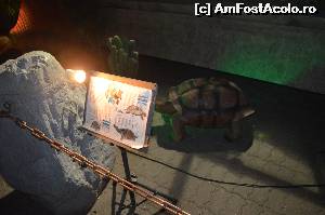 [P08] Testoasa uriasa...  » foto by cristianam
 - 
<span class="allrVoted glyphicon glyphicon-heart hidden" id="av528293"></span>
<a class="m-l-10 hidden" id="sv528293" onclick="voting_Foto_DelVot(,528293,14175)" role="button">șterge vot <span class="glyphicon glyphicon-remove"></span></a>
<a id="v9528293" class=" c-red"  onclick="voting_Foto_SetVot(528293)" role="button"><span class="glyphicon glyphicon-heart-empty"></span> <b>LIKE</b> = Votează poza</a> <img class="hidden"  id="f528293W9" src="/imagini/loader.gif" border="0" /><span class="AjErrMes hidden" id="e528293ErM"></span>