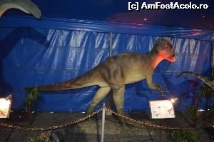 [P09] Exponat Dino » foto by cristianam
 - 
<span class="allrVoted glyphicon glyphicon-heart hidden" id="av528294"></span>
<a class="m-l-10 hidden" id="sv528294" onclick="voting_Foto_DelVot(,528294,14175)" role="button">șterge vot <span class="glyphicon glyphicon-remove"></span></a>
<a id="v9528294" class=" c-red"  onclick="voting_Foto_SetVot(528294)" role="button"><span class="glyphicon glyphicon-heart-empty"></span> <b>LIKE</b> = Votează poza</a> <img class="hidden"  id="f528294W9" src="/imagini/loader.gif" border="0" /><span class="AjErrMes hidden" id="e528294ErM"></span>