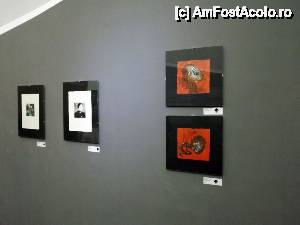 [P33] Art Safari 2014 - » foto by Dragoș_MD
 - 
<span class="allrVoted glyphicon glyphicon-heart hidden" id="av512315"></span>
<a class="m-l-10 hidden" id="sv512315" onclick="voting_Foto_DelVot(,512315,14175)" role="button">șterge vot <span class="glyphicon glyphicon-remove"></span></a>
<a id="v9512315" class=" c-red"  onclick="voting_Foto_SetVot(512315)" role="button"><span class="glyphicon glyphicon-heart-empty"></span> <b>LIKE</b> = Votează poza</a> <img class="hidden"  id="f512315W9" src="/imagini/loader.gif" border="0" /><span class="AjErrMes hidden" id="e512315ErM"></span>