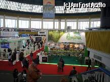 [P25] TTR 2011 - la parter, oferta este încă relativ consistentă. În schimb, puţini 'muşterii'... » foto by Dragoș_MD
 - 
<span class="allrVoted glyphicon glyphicon-heart hidden" id="av192062"></span>
<a class="m-l-10 hidden" id="sv192062" onclick="voting_Foto_DelVot(,192062,14175)" role="button">șterge vot <span class="glyphicon glyphicon-remove"></span></a>
<a id="v9192062" class=" c-red"  onclick="voting_Foto_SetVot(192062)" role="button"><span class="glyphicon glyphicon-heart-empty"></span> <b>LIKE</b> = Votează poza</a> <img class="hidden"  id="f192062W9" src="/imagini/loader.gif" border="0" /><span class="AjErrMes hidden" id="e192062ErM"></span>