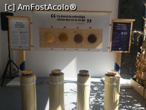 [P28] Mamaligile diverse.  » foto by vulpe mihaela
 - 
<span class="allrVoted glyphicon glyphicon-heart hidden" id="av1012817"></span>
<a class="m-l-10 hidden" id="sv1012817" onclick="voting_Foto_DelVot(,1012817,14175)" role="button">șterge vot <span class="glyphicon glyphicon-remove"></span></a>
<a id="v91012817" class=" c-red"  onclick="voting_Foto_SetVot(1012817)" role="button"><span class="glyphicon glyphicon-heart-empty"></span> <b>LIKE</b> = Votează poza</a> <img class="hidden"  id="f1012817W9" src="/imagini/loader.gif" border="0" /><span class="AjErrMes hidden" id="e1012817ErM"></span>