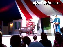 [P08] prezentarea hipopotamului pigmeu la Circo Acquatico Bellucci » foto by ali09
 - 
<span class="allrVoted glyphicon glyphicon-heart hidden" id="av466549"></span>
<a class="m-l-10 hidden" id="sv466549" onclick="voting_Foto_DelVot(,466549,14175)" role="button">șterge vot <span class="glyphicon glyphicon-remove"></span></a>
<a id="v9466549" class=" c-red"  onclick="voting_Foto_SetVot(466549)" role="button"><span class="glyphicon glyphicon-heart-empty"></span> <b>LIKE</b> = Votează poza</a> <img class="hidden"  id="f466549W9" src="/imagini/loader.gif" border="0" /><span class="AjErrMes hidden" id="e466549ErM"></span>