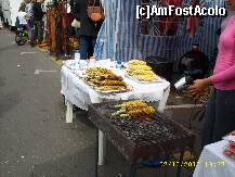 [P16] Ziua Recoltei 2010 » foto by raduu1972
 - 
<span class="allrVoted glyphicon glyphicon-heart hidden" id="av143332"></span>
<a class="m-l-10 hidden" id="sv143332" onclick="voting_Foto_DelVot(,143332,14175)" role="button">șterge vot <span class="glyphicon glyphicon-remove"></span></a>
<a id="v9143332" class=" c-red"  onclick="voting_Foto_SetVot(143332)" role="button"><span class="glyphicon glyphicon-heart-empty"></span> <b>LIKE</b> = Votează poza</a> <img class="hidden"  id="f143332W9" src="/imagini/loader.gif" border="0" /><span class="AjErrMes hidden" id="e143332ErM"></span>