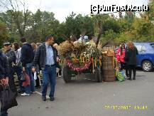 [P22] Ziua Recoltei 2010 » foto by raduu1972
 - 
<span class="allrVoted glyphicon glyphicon-heart hidden" id="av143338"></span>
<a class="m-l-10 hidden" id="sv143338" onclick="voting_Foto_DelVot(,143338,14175)" role="button">șterge vot <span class="glyphicon glyphicon-remove"></span></a>
<a id="v9143338" class=" c-red"  onclick="voting_Foto_SetVot(143338)" role="button"><span class="glyphicon glyphicon-heart-empty"></span> <b>LIKE</b> = Votează poza</a> <img class="hidden"  id="f143338W9" src="/imagini/loader.gif" border="0" /><span class="AjErrMes hidden" id="e143338ErM"></span>