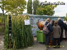 [P03] Ziua Recoltei 2010 » foto by raduu1972
 - 
<span class="allrVoted glyphicon glyphicon-heart hidden" id="av143317"></span>
<a class="m-l-10 hidden" id="sv143317" onclick="voting_Foto_DelVot(,143317,14175)" role="button">șterge vot <span class="glyphicon glyphicon-remove"></span></a>
<a id="v9143317" class=" c-red"  onclick="voting_Foto_SetVot(143317)" role="button"><span class="glyphicon glyphicon-heart-empty"></span> <b>LIKE</b> = Votează poza</a> <img class="hidden"  id="f143317W9" src="/imagini/loader.gif" border="0" /><span class="AjErrMes hidden" id="e143317ErM"></span>