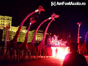 [P18] 'B-fit in the street' / Les giraffes 2008 » foto by IoanaV
 - 
<span class="allrVoted glyphicon glyphicon-heart hidden" id="av421869"></span>
<a class="m-l-10 hidden" id="sv421869" onclick="voting_Foto_DelVot(,421869,14175)" role="button">șterge vot <span class="glyphicon glyphicon-remove"></span></a>
<a id="v9421869" class=" c-red"  onclick="voting_Foto_SetVot(421869)" role="button"><span class="glyphicon glyphicon-heart-empty"></span> <b>LIKE</b> = Votează poza</a> <img class="hidden"  id="f421869W9" src="/imagini/loader.gif" border="0" /><span class="AjErrMes hidden" id="e421869ErM"></span>