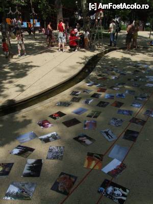 [P03] 'Street Delivery' / Expozitie de fotografie » foto by IoanaV
 - 
<span class="allrVoted glyphicon glyphicon-heart hidden" id="av422533"></span>
<a class="m-l-10 hidden" id="sv422533" onclick="voting_Foto_DelVot(,422533,14175)" role="button">șterge vot <span class="glyphicon glyphicon-remove"></span></a>
<a id="v9422533" class=" c-red"  onclick="voting_Foto_SetVot(422533)" role="button"><span class="glyphicon glyphicon-heart-empty"></span> <b>LIKE</b> = Votează poza</a> <img class="hidden"  id="f422533W9" src="/imagini/loader.gif" border="0" /><span class="AjErrMes hidden" id="e422533ErM"></span>