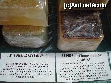 [P28] La Palatul Sutu - Festivalul ceaiului si cafelei - diverse combinatii si arome » foto by Diaura*
 - 
<span class="allrVoted glyphicon glyphicon-heart hidden" id="av132260"></span>
<a class="m-l-10 hidden" id="sv132260" onclick="voting_Foto_DelVot(,132260,14175)" role="button">șterge vot <span class="glyphicon glyphicon-remove"></span></a>
<a id="v9132260" class=" c-red"  onclick="voting_Foto_SetVot(132260)" role="button"><span class="glyphicon glyphicon-heart-empty"></span> <b>LIKE</b> = Votează poza</a> <img class="hidden"  id="f132260W9" src="/imagini/loader.gif" border="0" /><span class="AjErrMes hidden" id="e132260ErM"></span>