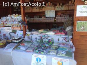 [P42] Traditii si Flori de Sarbatori - de aici am luat o pernuta (ceva cu linistea casei sau ceva de genul) si care mirosea foarte frumos (am mai luat asa ceva si acum un an)  » foto by mishu
 - 
<span class="allrVoted glyphicon glyphicon-heart hidden" id="av846172"></span>
<a class="m-l-10 hidden" id="sv846172" onclick="voting_Foto_DelVot(,846172,14175)" role="button">șterge vot <span class="glyphicon glyphicon-remove"></span></a>
<a id="v9846172" class=" c-red"  onclick="voting_Foto_SetVot(846172)" role="button"><span class="glyphicon glyphicon-heart-empty"></span> <b>LIKE</b> = Votează poza</a> <img class="hidden"  id="f846172W9" src="/imagini/loader.gif" border="0" /><span class="AjErrMes hidden" id="e846172ErM"></span>