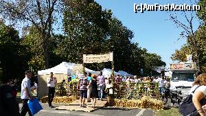 [P01] Forfota mare la RuralFest » foto by sed
 - 
<span class="allrVoted glyphicon glyphicon-heart hidden" id="av682016"></span>
<a class="m-l-10 hidden" id="sv682016" onclick="voting_Foto_DelVot(,682016,14175)" role="button">șterge vot <span class="glyphicon glyphicon-remove"></span></a>
<a id="v9682016" class=" c-red"  onclick="voting_Foto_SetVot(682016)" role="button"><span class="glyphicon glyphicon-heart-empty"></span> <b>LIKE</b> = Votează poza</a> <img class="hidden"  id="f682016W9" src="/imagini/loader.gif" border="0" /><span class="AjErrMes hidden" id="e682016ErM"></span>