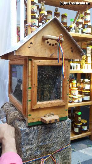 [P11] Harnicele albine si produsele lor » foto by sed
 - 
<span class="allrVoted glyphicon glyphicon-heart hidden" id="av682026"></span>
<a class="m-l-10 hidden" id="sv682026" onclick="voting_Foto_DelVot(,682026,14175)" role="button">șterge vot <span class="glyphicon glyphicon-remove"></span></a>
<a id="v9682026" class=" c-red"  onclick="voting_Foto_SetVot(682026)" role="button"><span class="glyphicon glyphicon-heart-empty"></span> <b>LIKE</b> = Votează poza</a> <img class="hidden"  id="f682026W9" src="/imagini/loader.gif" border="0" /><span class="AjErrMes hidden" id="e682026ErM"></span>