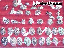 [P11] Targul de Sanziene la Muzeul National de Geologie, 25-27 iunie 2010 » foto by magdalena
 - 
<span class="allrVoted glyphicon glyphicon-heart hidden" id="av86717"></span>
<a class="m-l-10 hidden" id="sv86717" onclick="voting_Foto_DelVot(,86717,14175)" role="button">șterge vot <span class="glyphicon glyphicon-remove"></span></a>
<a id="v986717" class=" c-red"  onclick="voting_Foto_SetVot(86717)" role="button"><span class="glyphicon glyphicon-heart-empty"></span> <b>LIKE</b> = Votează poza</a> <img class="hidden"  id="f86717W9" src="/imagini/loader.gif" border="0" /><span class="AjErrMes hidden" id="e86717ErM"></span>