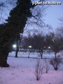 [P38] Targul de Craciun din Parcul Cismigiu, patinoarul de sarbatori » foto by magdalena
 - 
<span class="allrVoted glyphicon glyphicon-heart hidden" id="av173119"></span>
<a class="m-l-10 hidden" id="sv173119" onclick="voting_Foto_DelVot(,173119,14175)" role="button">șterge vot <span class="glyphicon glyphicon-remove"></span></a>
<a id="v9173119" class=" c-red"  onclick="voting_Foto_SetVot(173119)" role="button"><span class="glyphicon glyphicon-heart-empty"></span> <b>LIKE</b> = Votează poza</a> <img class="hidden"  id="f173119W9" src="/imagini/loader.gif" border="0" /><span class="AjErrMes hidden" id="e173119ErM"></span>
