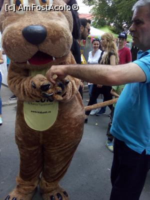 [P07] care ne dau bomboane » foto by danaeldreny*
 - 
<span class="allrVoted glyphicon glyphicon-heart hidden" id="av835762"></span>
<a class="m-l-10 hidden" id="sv835762" onclick="voting_Foto_DelVot(,835762,14175)" role="button">șterge vot <span class="glyphicon glyphicon-remove"></span></a>
<a id="v9835762" class=" c-red"  onclick="voting_Foto_SetVot(835762)" role="button"><span class="glyphicon glyphicon-heart-empty"></span> <b>LIKE</b> = Votează poza</a> <img class="hidden"  id="f835762W9" src="/imagini/loader.gif" border="0" /><span class="AjErrMes hidden" id="e835762ErM"></span>