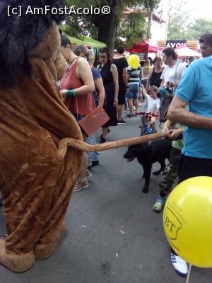 [P08] si le tragem de coada » foto by danaeldreny*
 - 
<span class="allrVoted glyphicon glyphicon-heart hidden" id="av835763"></span>
<a class="m-l-10 hidden" id="sv835763" onclick="voting_Foto_DelVot(,835763,14175)" role="button">șterge vot <span class="glyphicon glyphicon-remove"></span></a>
<a id="v9835763" class=" c-red"  onclick="voting_Foto_SetVot(835763)" role="button"><span class="glyphicon glyphicon-heart-empty"></span> <b>LIKE</b> = Votează poza</a> <img class="hidden"  id="f835763W9" src="/imagini/loader.gif" border="0" /><span class="AjErrMes hidden" id="e835763ErM"></span>