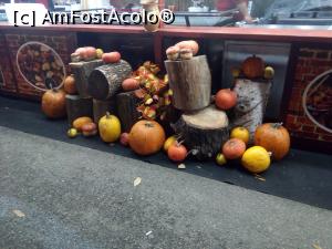 [P22] Sărbătoarea Recunoștinței » foto by danaeldreny*
 - 
<span class="allrVoted glyphicon glyphicon-heart hidden" id="av920301"></span>
<a class="m-l-10 hidden" id="sv920301" onclick="voting_Foto_DelVot(,920301,14175)" role="button">șterge vot <span class="glyphicon glyphicon-remove"></span></a>
<a id="v9920301" class=" c-red"  onclick="voting_Foto_SetVot(920301)" role="button"><span class="glyphicon glyphicon-heart-empty"></span> <b>LIKE</b> = Votează poza</a> <img class="hidden"  id="f920301W9" src="/imagini/loader.gif" border="0" /><span class="AjErrMes hidden" id="e920301ErM"></span>