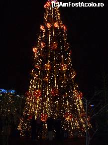 [P14] Bradul impodobit de langa patinoar. » foto by ninaa
 - 
<span class="allrVoted glyphicon glyphicon-heart hidden" id="av174241"></span>
<a class="m-l-10 hidden" id="sv174241" onclick="voting_Foto_DelVot(,174241,14175)" role="button">șterge vot <span class="glyphicon glyphicon-remove"></span></a>
<a id="v9174241" class=" c-red"  onclick="voting_Foto_SetVot(174241)" role="button"><span class="glyphicon glyphicon-heart-empty"></span> <b>LIKE</b> = Votează poza</a> <img class="hidden"  id="f174241W9" src="/imagini/loader.gif" border="0" /><span class="AjErrMes hidden" id="e174241ErM"></span>