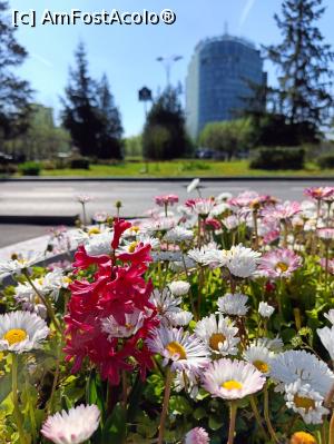 [P01] Flori la intrarea dinspre Televiziunea Română. » foto by tata123 🔱
 - 
<span class="allrVoted glyphicon glyphicon-heart hidden" id="av1359943"></span>
<a class="m-l-10 hidden" id="sv1359943" onclick="voting_Foto_DelVot(,1359943,14175)" role="button">șterge vot <span class="glyphicon glyphicon-remove"></span></a>
<a id="v91359943" class=" c-red"  onclick="voting_Foto_SetVot(1359943)" role="button"><span class="glyphicon glyphicon-heart-empty"></span> <b>LIKE</b> = Votează poza</a> <img class="hidden"  id="f1359943W9" src="/imagini/loader.gif" border="0" /><span class="AjErrMes hidden" id="e1359943ErM"></span>