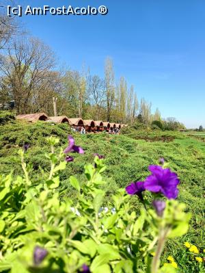 [P29] Târgul din Herăstrău. » foto by tata123 🔱
 - 
<span class="allrVoted glyphicon glyphicon-heart hidden" id="av1359971"></span>
<a class="m-l-10 hidden" id="sv1359971" onclick="voting_Foto_DelVot(,1359971,14175)" role="button">șterge vot <span class="glyphicon glyphicon-remove"></span></a>
<a id="v91359971" class=" c-red"  onclick="voting_Foto_SetVot(1359971)" role="button"><span class="glyphicon glyphicon-heart-empty"></span> <b>LIKE</b> = Votează poza</a> <img class="hidden"  id="f1359971W9" src="/imagini/loader.gif" border="0" /><span class="AjErrMes hidden" id="e1359971ErM"></span>