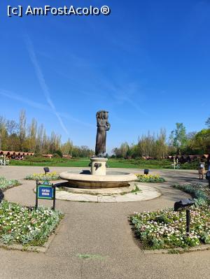 [P04] Fântâna Modura și târgul (pe stânga-dreapta). » foto by tata123 🔱
 - 
<span class="allrVoted glyphicon glyphicon-heart hidden" id="av1359946"></span>
<a class="m-l-10 hidden" id="sv1359946" onclick="voting_Foto_DelVot(,1359946,14175)" role="button">șterge vot <span class="glyphicon glyphicon-remove"></span></a>
<a id="v91359946" class=" c-red"  onclick="voting_Foto_SetVot(1359946)" role="button"><span class="glyphicon glyphicon-heart-empty"></span> <b>LIKE</b> = Votează poza</a> <img class="hidden"  id="f1359946W9" src="/imagini/loader.gif" border="0" /><span class="AjErrMes hidden" id="e1359946ErM"></span>