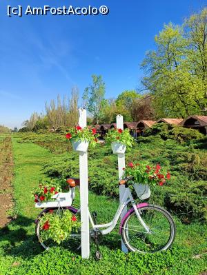 [P05] Tradiții și Flori de Sărbători - singurele decorațiuni. » foto by tata123 🔱
 - 
<span class="allrVoted glyphicon glyphicon-heart hidden" id="av1359947"></span>
<a class="m-l-10 hidden" id="sv1359947" onclick="voting_Foto_DelVot(,1359947,14175)" role="button">șterge vot <span class="glyphicon glyphicon-remove"></span></a>
<a id="v91359947" class=" c-red"  onclick="voting_Foto_SetVot(1359947)" role="button"><span class="glyphicon glyphicon-heart-empty"></span> <b>LIKE</b> = Votează poza</a> <img class="hidden"  id="f1359947W9" src="/imagini/loader.gif" border="0" /><span class="AjErrMes hidden" id="e1359947ErM"></span>