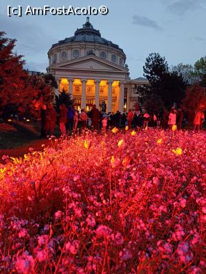 [P03] La Ateneu se ascultă poeziile lui Mihai Eminescu. » foto by tata123 🔱
 - 
<span class="allrVoted glyphicon glyphicon-heart hidden" id="av1361044"></span>
<a class="m-l-10 hidden" id="sv1361044" onclick="voting_Foto_DelVot(,1361044,14175)" role="button">șterge vot <span class="glyphicon glyphicon-remove"></span></a>
<a id="v91361044" class=" c-red"  onclick="voting_Foto_SetVot(1361044)" role="button"><span class="glyphicon glyphicon-heart-empty"></span> <b>LIKE</b> = Votează poza</a> <img class="hidden"  id="f1361044W9" src="/imagini/loader.gif" border="0" /><span class="AjErrMes hidden" id="e1361044ErM"></span>