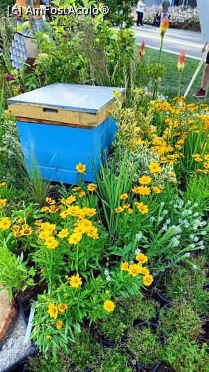 [P12] Prin grădinile tematice. » foto by tata123 🔱
 - 
<span class="allrVoted glyphicon glyphicon-heart hidden" id="av1368669"></span>
<a class="m-l-10 hidden" id="sv1368669" onclick="voting_Foto_DelVot(,1368669,14175)" role="button">șterge vot <span class="glyphicon glyphicon-remove"></span></a>
<a id="v91368669" class=" c-red"  onclick="voting_Foto_SetVot(1368669)" role="button"><span class="glyphicon glyphicon-heart-empty"></span> <b>LIKE</b> = Votează poza</a> <img class="hidden"  id="f1368669W9" src="/imagini/loader.gif" border="0" /><span class="AjErrMes hidden" id="e1368669ErM"></span>