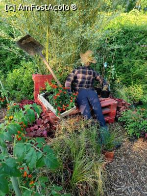 [P15] Grădinarul obosit. » foto by tata123 🔱
 - 
<span class="allrVoted glyphicon glyphicon-heart hidden" id="av1368672"></span>
<a class="m-l-10 hidden" id="sv1368672" onclick="voting_Foto_DelVot(,1368672,14175)" role="button">șterge vot <span class="glyphicon glyphicon-remove"></span></a>
<a id="v91368672" class=" c-red"  onclick="voting_Foto_SetVot(1368672)" role="button"><span class="glyphicon glyphicon-heart-empty"></span> <b>LIKE</b> = Votează poza</a> <img class="hidden"  id="f1368672W9" src="/imagini/loader.gif" border="0" /><span class="AjErrMes hidden" id="e1368672ErM"></span>
