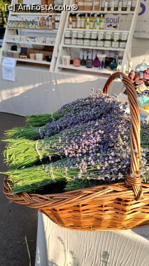 [P19] A sosit sezonul lavandei. » foto by tata123 🔱
 - 
<span class="allrVoted glyphicon glyphicon-heart hidden" id="av1368676"></span>
<a class="m-l-10 hidden" id="sv1368676" onclick="voting_Foto_DelVot(,1368676,14175)" role="button">șterge vot <span class="glyphicon glyphicon-remove"></span></a>
<a id="v91368676" class=" c-red"  onclick="voting_Foto_SetVot(1368676)" role="button"><span class="glyphicon glyphicon-heart-empty"></span> <b>LIKE</b> = Votează poza</a> <img class="hidden"  id="f1368676W9" src="/imagini/loader.gif" border="0" /><span class="AjErrMes hidden" id="e1368676ErM"></span>