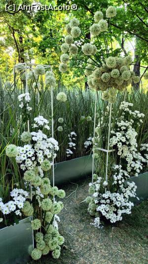 [P03] Un labirint verde. » foto by tata123 🔱
 - 
<span class="allrVoted glyphicon glyphicon-heart hidden" id="av1368660"></span>
<a class="m-l-10 hidden" id="sv1368660" onclick="voting_Foto_DelVot(,1368660,14175)" role="button">șterge vot <span class="glyphicon glyphicon-remove"></span></a>
<a id="v91368660" class=" c-red"  onclick="voting_Foto_SetVot(1368660)" role="button"><span class="glyphicon glyphicon-heart-empty"></span> <b>LIKE</b> = Votează poza</a> <img class="hidden"  id="f1368660W9" src="/imagini/loader.gif" border="0" /><span class="AjErrMes hidden" id="e1368660ErM"></span>