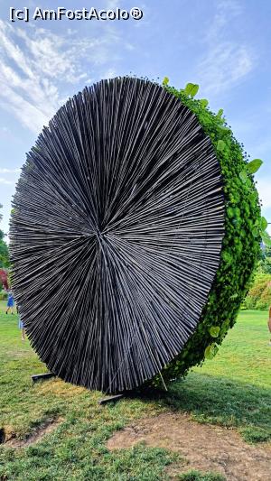 [P04] Un aranjament... inedit. » foto by tata123 🔱
 - 
<span class="allrVoted glyphicon glyphicon-heart hidden" id="av1368661"></span>
<a class="m-l-10 hidden" id="sv1368661" onclick="voting_Foto_DelVot(,1368661,14175)" role="button">șterge vot <span class="glyphicon glyphicon-remove"></span></a>
<a id="v91368661" class=" c-red"  onclick="voting_Foto_SetVot(1368661)" role="button"><span class="glyphicon glyphicon-heart-empty"></span> <b>LIKE</b> = Votează poza</a> <img class="hidden"  id="f1368661W9" src="/imagini/loader.gif" border="0" /><span class="AjErrMes hidden" id="e1368661ErM"></span>