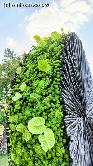 [P05] Plantele verzi de pe „roată”. » foto by tata123 🔱
 - 
<span class="allrVoted glyphicon glyphicon-heart hidden" id="av1368662"></span>
<a class="m-l-10 hidden" id="sv1368662" onclick="voting_Foto_DelVot(,1368662,14175)" role="button">șterge vot <span class="glyphicon glyphicon-remove"></span></a>
<a id="v91368662" class=" c-red"  onclick="voting_Foto_SetVot(1368662)" role="button"><span class="glyphicon glyphicon-heart-empty"></span> <b>LIKE</b> = Votează poza</a> <img class="hidden"  id="f1368662W9" src="/imagini/loader.gif" border="0" /><span class="AjErrMes hidden" id="e1368662ErM"></span>