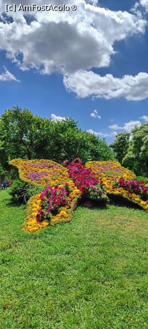 [P05] West Side Flower Fest 2024 - figurine în parcul Drumul Taberei. » foto by tata123 🔱
 - 
<span class="allrVoted glyphicon glyphicon-heart hidden" id="av1431664"></span>
<a class="m-l-10 hidden" id="sv1431664" onclick="voting_Foto_DelVot(,1431664,14175)" role="button">șterge vot <span class="glyphicon glyphicon-remove"></span></a>
<a id="v91431664" class=" c-red"  onclick="voting_Foto_SetVot(1431664)" role="button"><span class="glyphicon glyphicon-heart-empty"></span> <b>LIKE</b> = Votează poza</a> <img class="hidden"  id="f1431664W9" src="/imagini/loader.gif" border="0" /><span class="AjErrMes hidden" id="e1431664ErM"></span>