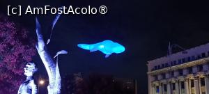 [P15] Spotlight #9 - Balena plutitoare. » foto by tata123 🔱
 - 
<span class="allrVoted glyphicon glyphicon-heart hidden" id="av1503042"></span>
<a class="m-l-10 hidden" id="sv1503042" onclick="voting_Foto_DelVot(,1503042,14175)" role="button">șterge vot <span class="glyphicon glyphicon-remove"></span></a>
<a id="v91503042" class=" c-red"  onclick="voting_Foto_SetVot(1503042)" role="button"><span class="glyphicon glyphicon-heart-empty"></span> <b>LIKE</b> = Votează poza</a> <img class="hidden"  id="f1503042W9" src="/imagini/loader.gif" border="0" /><span class="AjErrMes hidden" id="e1503042ErM"></span>