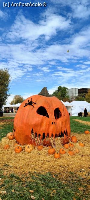 [P03] Dovleacul gigant. » foto by tata123 🔱
 - 
<span class="allrVoted glyphicon glyphicon-heart hidden" id="av1503736"></span>
<a class="m-l-10 hidden" id="sv1503736" onclick="voting_Foto_DelVot(,1503736,14175)" role="button">șterge vot <span class="glyphicon glyphicon-remove"></span></a>
<a id="v91503736" class=" c-red"  onclick="voting_Foto_SetVot(1503736)" role="button"><span class="glyphicon glyphicon-heart-empty"></span> <b>LIKE</b> = Votează poza</a> <img class="hidden"  id="f1503736W9" src="/imagini/loader.gif" border="0" /><span class="AjErrMes hidden" id="e1503736ErM"></span>