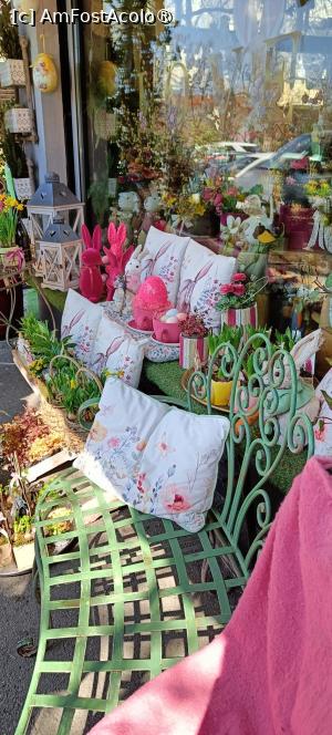 [P03] Decoruri florărie - Piața Dorobanților. » foto by tata123 🔱
 - 
<span class="allrVoted glyphicon glyphicon-heart hidden" id="av1523622"></span>
<a class="m-l-10 hidden" id="sv1523622" onclick="voting_Foto_DelVot(,1523622,14175)" role="button">șterge vot <span class="glyphicon glyphicon-remove"></span></a>
<a id="v91523622" class=" c-red"  onclick="voting_Foto_SetVot(1523622)" role="button"><span class="glyphicon glyphicon-heart-empty"></span> <b>LIKE</b> = Votează poza</a> <img class="hidden"  id="f1523622W9" src="/imagini/loader.gif" border="0" /><span class="AjErrMes hidden" id="e1523622ErM"></span>