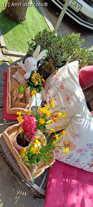 [P04] Decoruri florărie - Piața Dorobanților. » foto by tata123 🔱
 - 
<span class="allrVoted glyphicon glyphicon-heart hidden" id="av1523623"></span>
<a class="m-l-10 hidden" id="sv1523623" onclick="voting_Foto_DelVot(,1523623,14175)" role="button">șterge vot <span class="glyphicon glyphicon-remove"></span></a>
<a id="v91523623" class=" c-red"  onclick="voting_Foto_SetVot(1523623)" role="button"><span class="glyphicon glyphicon-heart-empty"></span> <b>LIKE</b> = Votează poza</a> <img class="hidden"  id="f1523623W9" src="/imagini/loader.gif" border="0" /><span class="AjErrMes hidden" id="e1523623ErM"></span>