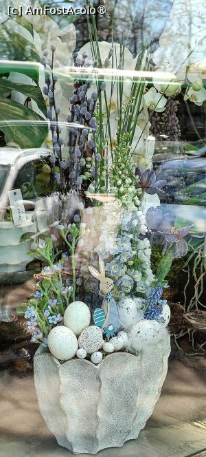 [P09] Decoruri florărie - Piața Dorobanților. » foto by tata123 🔱
 - 
<span class="allrVoted glyphicon glyphicon-heart hidden" id="av1523628"></span>
<a class="m-l-10 hidden" id="sv1523628" onclick="voting_Foto_DelVot(,1523628,14175)" role="button">șterge vot <span class="glyphicon glyphicon-remove"></span></a>
<a id="v91523628" class=" c-red"  onclick="voting_Foto_SetVot(1523628)" role="button"><span class="glyphicon glyphicon-heart-empty"></span> <b>LIKE</b> = Votează poza</a> <img class="hidden"  id="f1523628W9" src="/imagini/loader.gif" border="0" /><span class="AjErrMes hidden" id="e1523628ErM"></span>