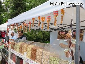 [P08] Sugiuk... hi, hi, hi.  » foto by tata123 🔱
 - 
<span class="allrVoted glyphicon glyphicon-heart hidden" id="av510509"></span>
<a class="m-l-10 hidden" id="sv510509" onclick="voting_Foto_DelVot(,510509,14175)" role="button">șterge vot <span class="glyphicon glyphicon-remove"></span></a>
<a id="v9510509" class=" c-red"  onclick="voting_Foto_SetVot(510509)" role="button"><span class="glyphicon glyphicon-heart-empty"></span> <b>LIKE</b> = Votează poza</a> <img class="hidden"  id="f510509W9" src="/imagini/loader.gif" border="0" /><span class="AjErrMes hidden" id="e510509ErM"></span>