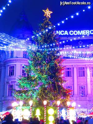 [P14] Bradul de 16 metri... înconjurat de acadele.  » foto by tata123 🔱
 - 
<span class="allrVoted glyphicon glyphicon-heart hidden" id="av581001"></span>
<a class="m-l-10 hidden" id="sv581001" onclick="voting_Foto_DelVot(,581001,14175)" role="button">șterge vot <span class="glyphicon glyphicon-remove"></span></a>
<a id="v9581001" class=" c-red"  onclick="voting_Foto_SetVot(581001)" role="button"><span class="glyphicon glyphicon-heart-empty"></span> <b>LIKE</b> = Votează poza</a> <img class="hidden"  id="f581001W9" src="/imagini/loader.gif" border="0" /><span class="AjErrMes hidden" id="e581001ErM"></span>