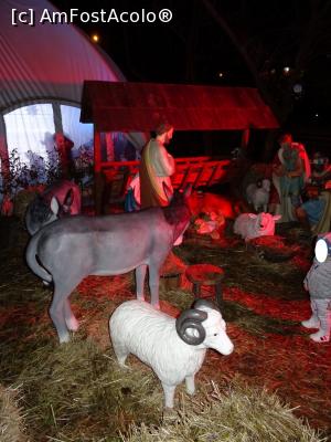 [P09] Ieslea Nașterii - atracție pentru prichindei.  » foto by tata123 🔱
 - 
<span class="allrVoted glyphicon glyphicon-heart hidden" id="av1133750"></span>
<a class="m-l-10 hidden" id="sv1133750" onclick="voting_Foto_DelVot(,1133750,14175)" role="button">șterge vot <span class="glyphicon glyphicon-remove"></span></a>
<a id="v91133750" class=" c-red"  onclick="voting_Foto_SetVot(1133750)" role="button"><span class="glyphicon glyphicon-heart-empty"></span> <b>LIKE</b> = Votează poza</a> <img class="hidden"  id="f1133750W9" src="/imagini/loader.gif" border="0" /><span class="AjErrMes hidden" id="e1133750ErM"></span>