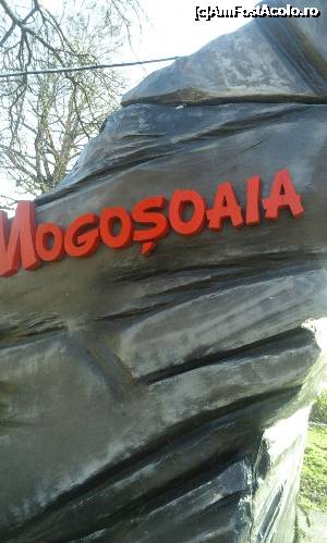 [P11] da aici suntem » foto by adrianbogdan
 - 
<span class="allrVoted glyphicon glyphicon-heart hidden" id="av701620"></span>
<a class="m-l-10 hidden" id="sv701620" onclick="voting_Foto_DelVot(,701620,14175)" role="button">șterge vot <span class="glyphicon glyphicon-remove"></span></a>
<a id="v9701620" class=" c-red"  onclick="voting_Foto_SetVot(701620)" role="button"><span class="glyphicon glyphicon-heart-empty"></span> <b>LIKE</b> = Votează poza</a> <img class="hidden"  id="f701620W9" src="/imagini/loader.gif" border="0" /><span class="AjErrMes hidden" id="e701620ErM"></span>