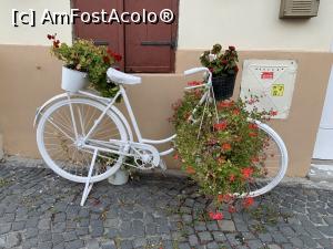 [P32] Bicicletă decor » foto by AZE
 - 
<span class="allrVoted glyphicon glyphicon-heart hidden" id="av1388480"></span>
<a class="m-l-10 hidden" id="sv1388480" onclick="voting_Foto_DelVot(,1388480,14186)" role="button">șterge vot <span class="glyphicon glyphicon-remove"></span></a>
<a id="v91388480" class=" c-red"  onclick="voting_Foto_SetVot(1388480)" role="button"><span class="glyphicon glyphicon-heart-empty"></span> <b>LIKE</b> = Votează poza</a> <img class="hidden"  id="f1388480W9" src="/imagini/loader.gif" border="0" /><span class="AjErrMes hidden" id="e1388480ErM"></span>