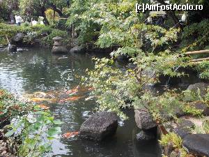 P04 [AUG-2015] Kamakura, Templul Hase-dera, iazul Hojo-ike